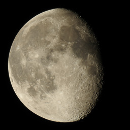 moon-2019-03-24-125-L-SQ.jpg