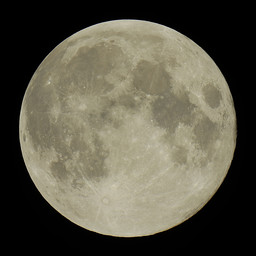 moon-2019-06-17-7-L-SQ.jpg