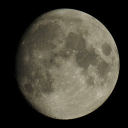 moon-2020-08-01-L-SQ.jpg