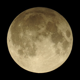 moon-2020-11-30-L-SQ.jpg