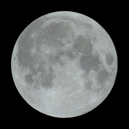 moon-2021-11-19-L-SQ.jpg