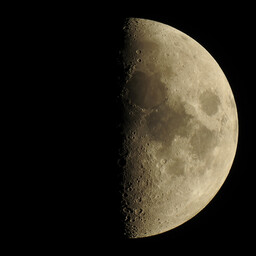 moon-2021-12-11-L-SQ.jpg