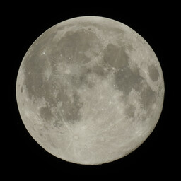 moon-2021-12-19-L-SQ.jpg