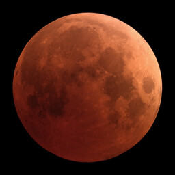 moon-2022-11-08-1-eclipse-L-SQ.jpg