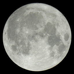 moon-2023-08-02-L-SQ.jpg