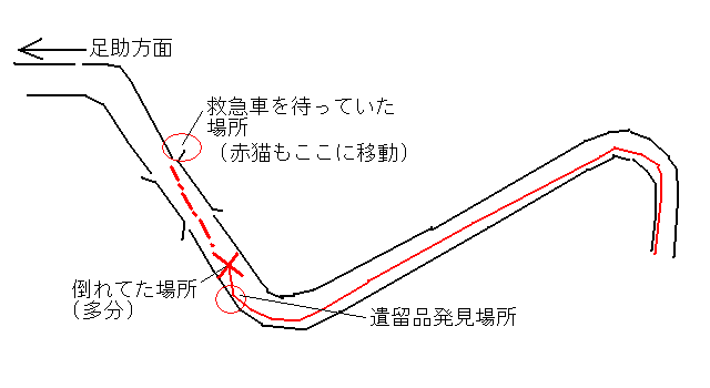 現場の詳細図