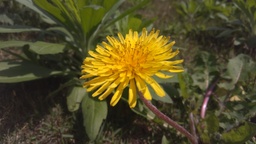 画像(3840x2160、1344.1Kb)