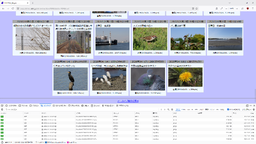 画像(1920x1080、1070.7Kb)