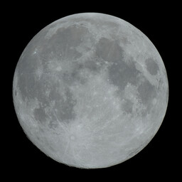 moon-2023-12-26-L-SQ.jpg